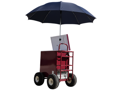 Push Cart Food Guadalajara